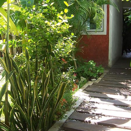Elements Of The Island Διαμέρισμα Isla Mujeres Εξωτερικό φωτογραφία