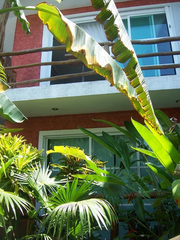 Elements Of The Island Διαμέρισμα Isla Mujeres Εξωτερικό φωτογραφία