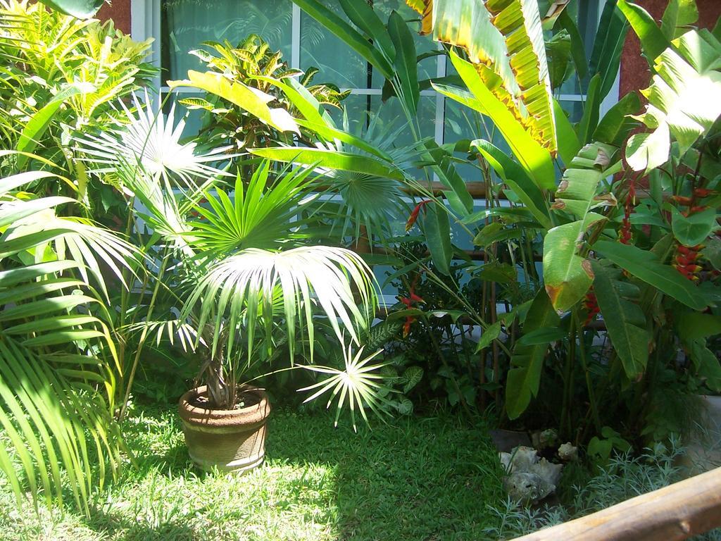 Elements Of The Island Διαμέρισμα Isla Mujeres Εξωτερικό φωτογραφία